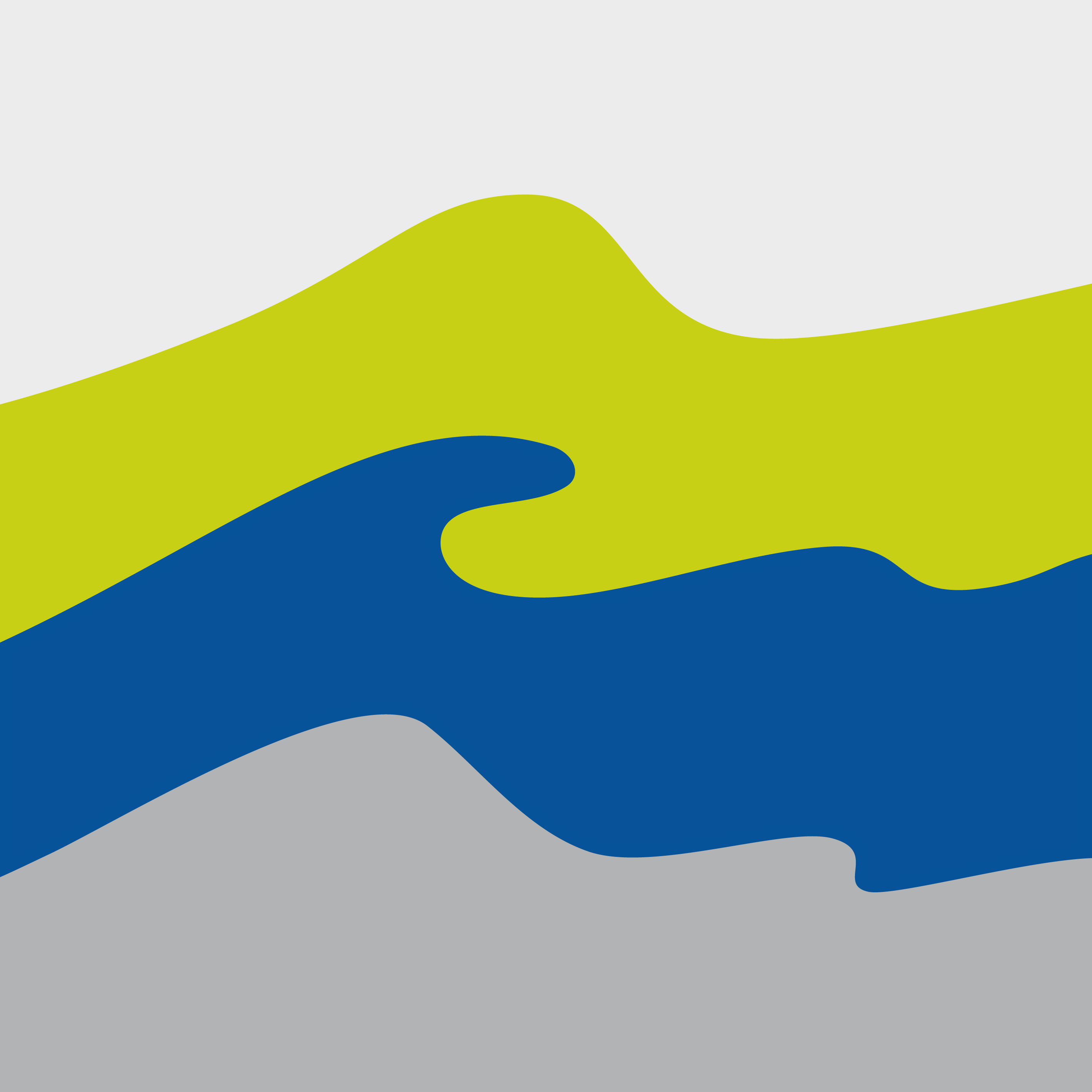 Logo Ludwig-Franzius-Institut für Wasserbau und Ästuar- und Küsteningenieurwesen